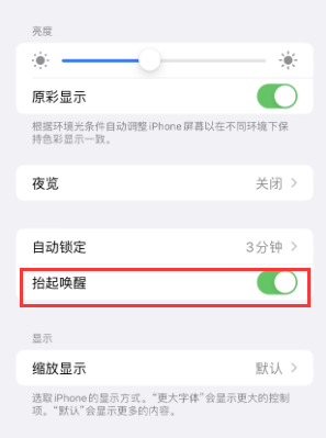 呼伦贝尔苹果授权维修站分享iPhone轻点无法唤醒怎么办