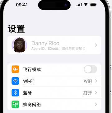 呼伦贝尔appleID维修服务iPhone设置中Apple ID显示为灰色无法使用