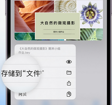 呼伦贝尔apple维修中心分享iPhone文件应用中存储和找到下载文件