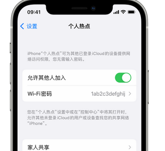 呼伦贝尔apple服务站点分享iPhone上个人热点丢失了怎么办 