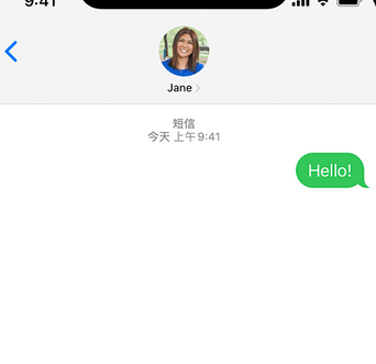 呼伦贝尔apple维修iPhone上无法正常发送iMessage信息