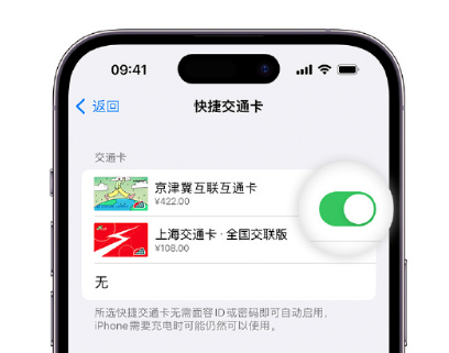 呼伦贝尔apple维修点分享iPhone上更换Apple Pay快捷交通卡手绘卡面 