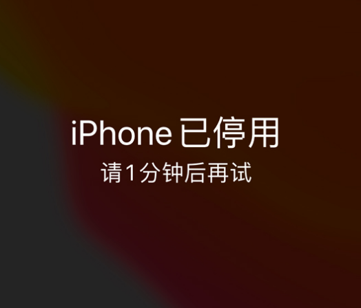 呼伦贝尔苹果手机维修分享:iPhone 显示“不可用”或“已停用”怎么办？还能保留数据吗？ 