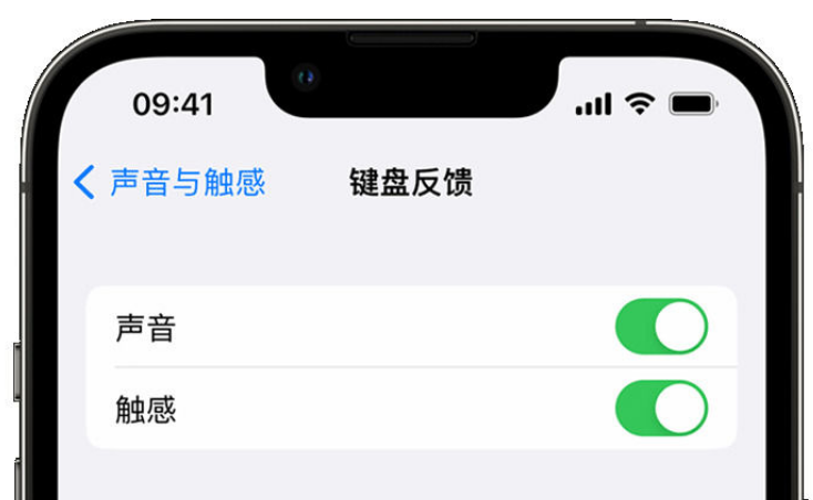 呼伦贝尔苹果手机维修分享iPhone 14触感键盘使用方法 