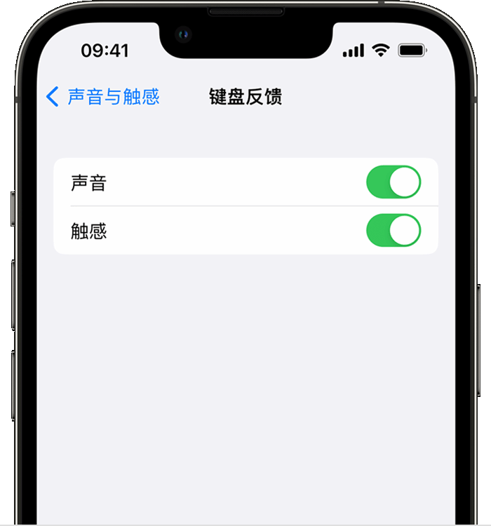 呼伦贝尔苹果14维修店分享如何在 iPhone 14 机型中使用触感键盘 