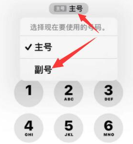 呼伦贝尔苹果14维修店分享iPhone 14 Pro Max使用副卡打电话的方法 