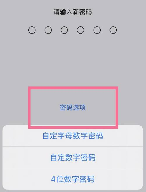 呼伦贝尔苹果14维修分享iPhone 14plus设置密码的方法 