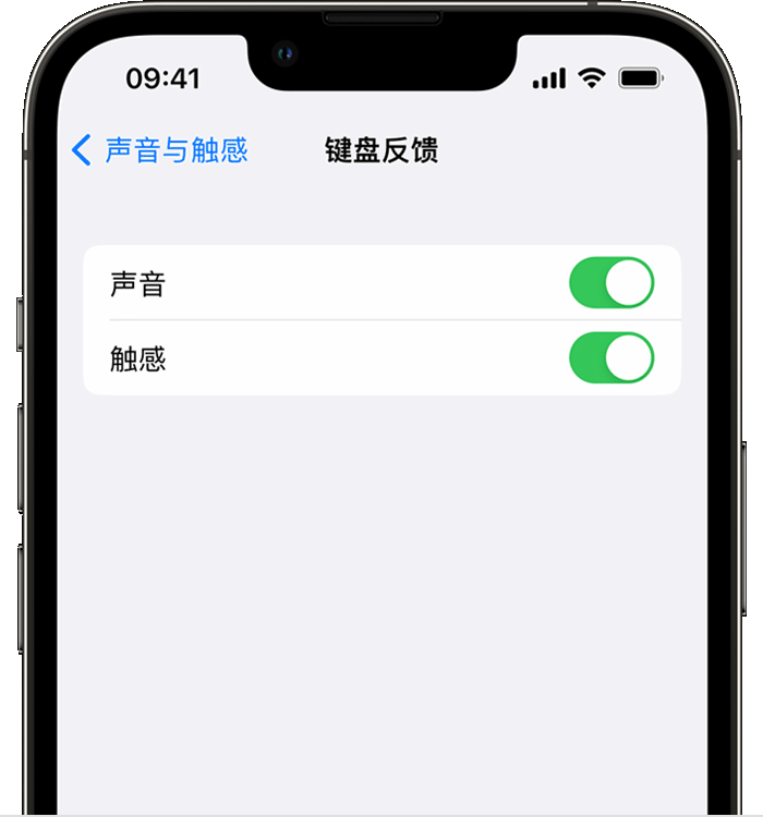 呼伦贝尔苹果14维修分享iPhone 14 系列机型如何开启键盘声音或触感反馈 