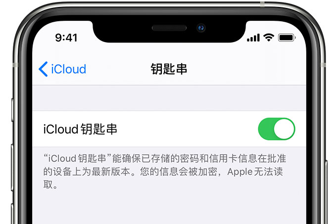 呼伦贝尔苹果手机维修分享在 iPhone 上开启 iCloud 钥匙串之后会储存哪些信息 