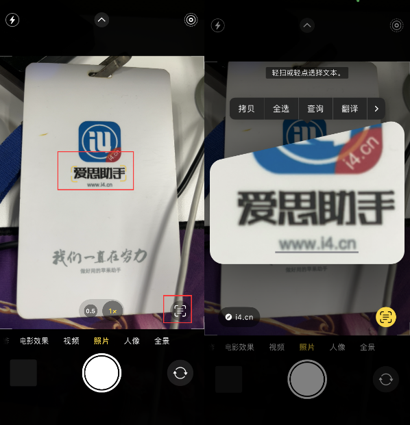 呼伦贝尔苹果手机维修分享升级iOS 16后如何通过相机翻译文本 