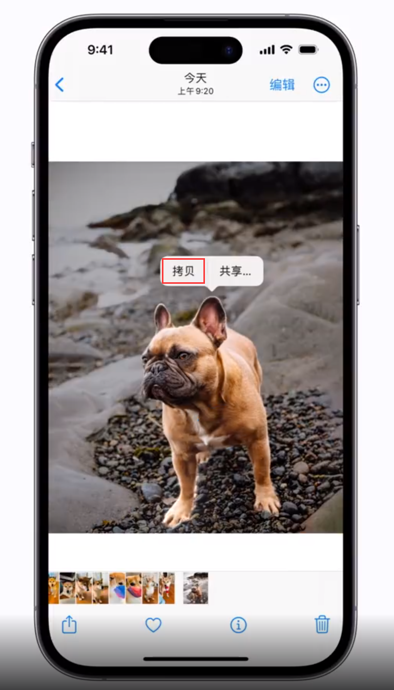 呼伦贝尔苹果手机维修分享 iOS 16 自带一键抠图功能 