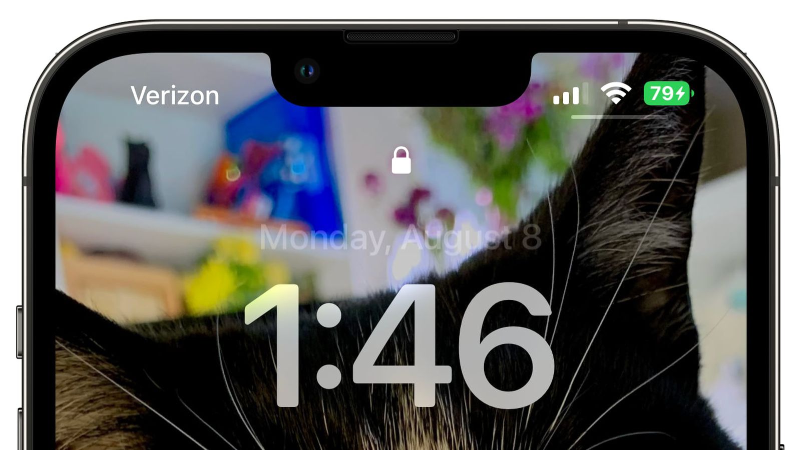 呼伦贝尔苹果手机维修分享iOS 16 beta 5 支持状态栏显示电池百分比，如何开启？支持哪些机型 