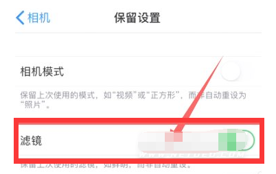 呼伦贝尔苹果13维修分享iPhone13拍照有绿点是怎么回事 