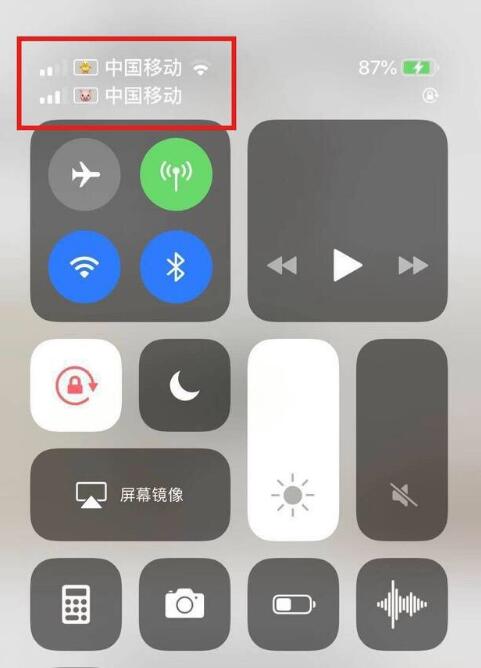 呼伦贝尔苹果手机维修分享为 iPhone 12 双卡设置标签 