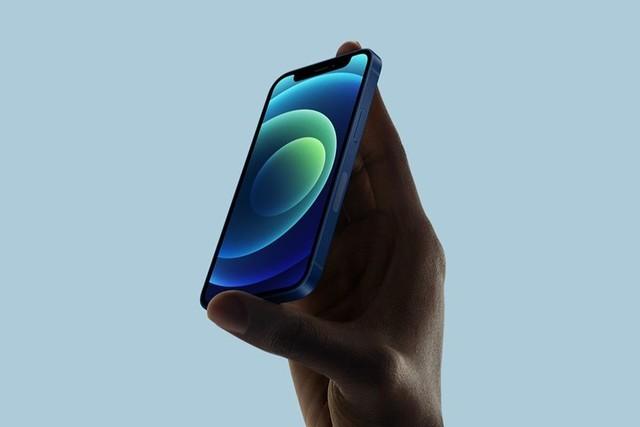 呼伦贝尔苹果手机维修分享iPhone 12 mini辐射很大吗 