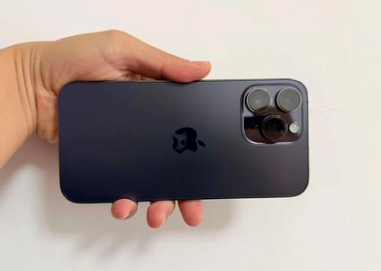 呼伦贝尔苹果维修点分享iPhone 14 Pro Max黑屏少见故障盘点 